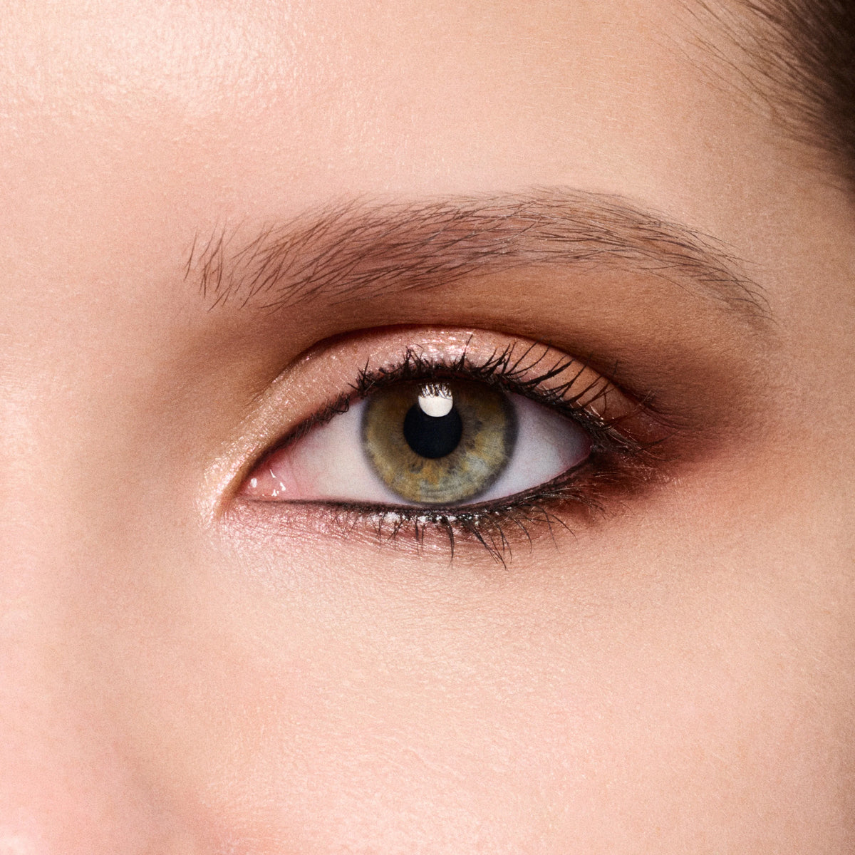 Eye Shadow Palette x4 / Sepia Collection